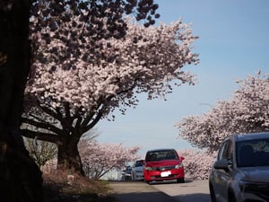 2007 Honda Airwave — photo 4
